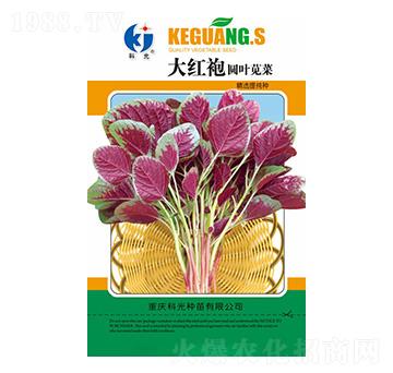 ��t�ۈA�~�{��-�ƹ�N��