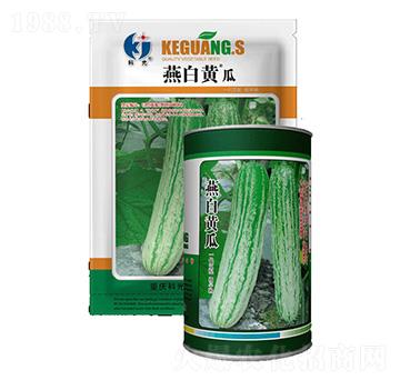 ����S��-�ƹ�N��