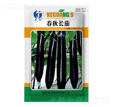 �����L(zh��ng)��-�ƹ�N��