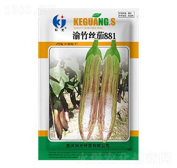 ����z��881-�ƹ�N��