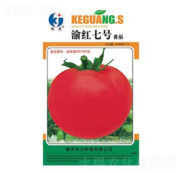 ��t7̖(h��o)-�ƹ�N��