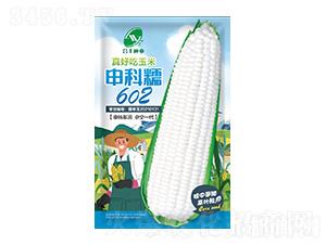 ���Ŵ602-���S�N�I(y��)