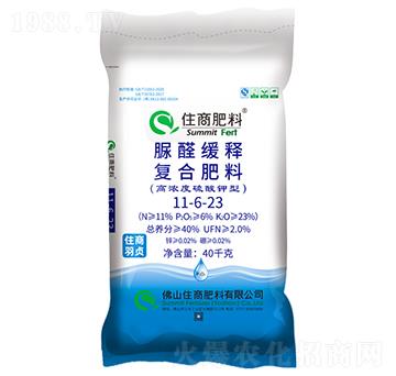 ��ȩ��ጏͺϷ���11-