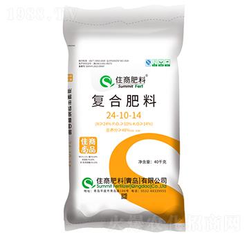 �ͺϷ���24-10-1