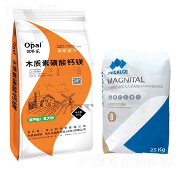 ľ�|(zh��)�ػ����}�V-�W�㘷