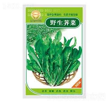 �j�˷N��-Ұ���j��-̫���N�I(y��)