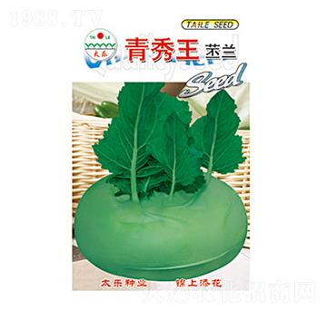 ���m�N��-���������m-̫��(l��)�N�I(y��)