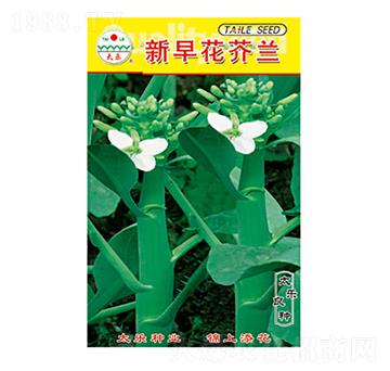 ���m�N��-���绨���m-̫��(l��)�N�I(y��)