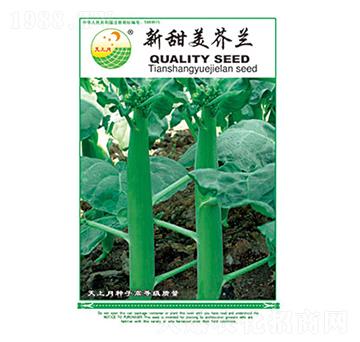 ���m�N��-���������m-̫��(l��)�N�I(y��)