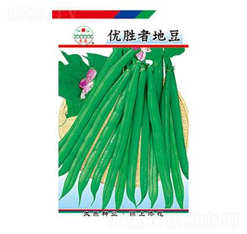 �����N��-��(y��u)���ߵض�-̫��(l��)�N�I(y��)