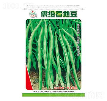 �����N��-���o�ߵض�-̫��(l��)�N�I(y��)