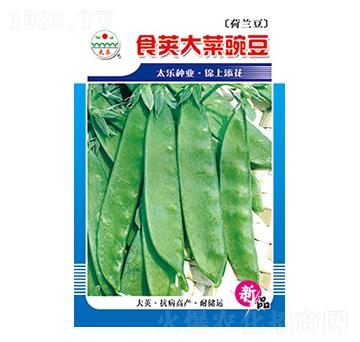 �㶹�N��-ʳ�v����㶹-̫��(l��)�N�I(y��)