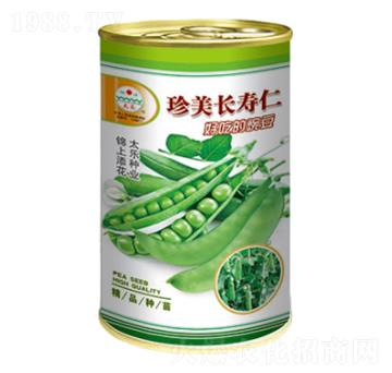 �㶹�N��-�����L(zh��ng)����-̫��(l��)�N�I(y��)