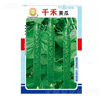 �S�ϷN��-ǧ���S��-̫��(l��)�N�I(y��)