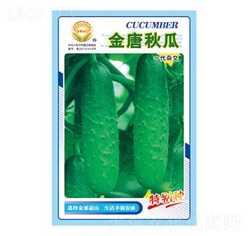 �S�ϷN��-�������-̫��(l��)�N�I(y��)