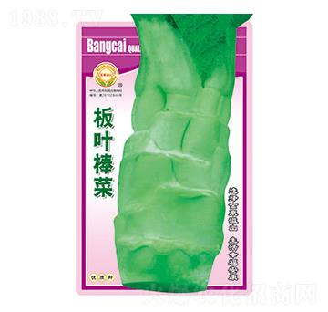 ���˷N��-���~����-̫��(l��)�N�I(y��)