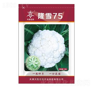 ¡ѩ75-��¡����-��¡�r(n��ng)�I(y��)