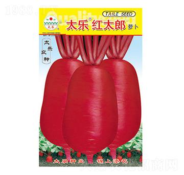 �}���N��-̫���t̫��-̫���N�I(y��)