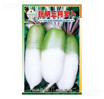 �}���N��-���������}��-̫���N�I(y��)