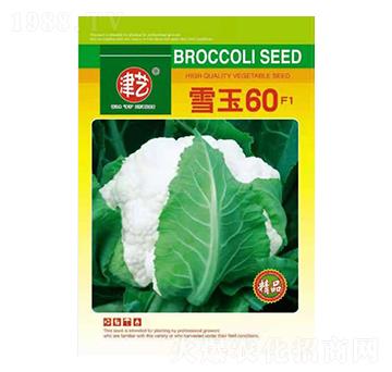 ���˷N��-ѩ��60-���S�r(n��ng)�I(y��)