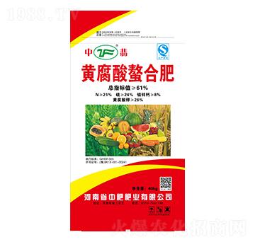 �S�������Ϸ�-����-�зʷʘI(y��)