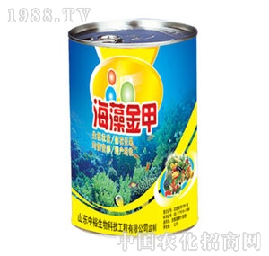 ��ԣ����-������