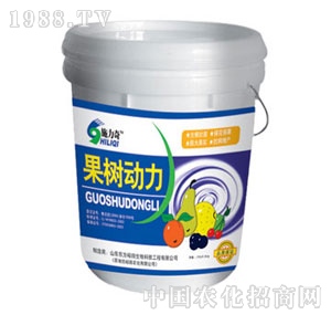 ��ԣ����-�������