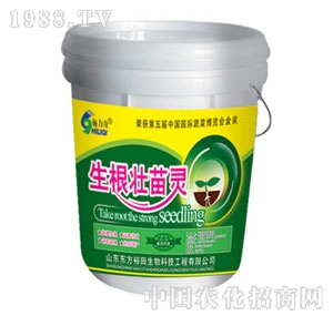 ��ԣ����-���������`