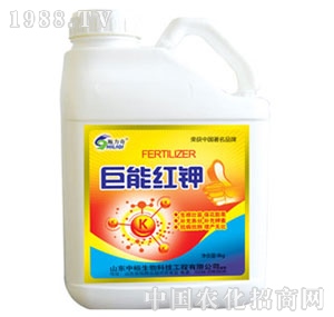 ��ԣ����-���ܼt�