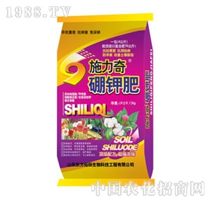 ��ԣ����-ʩ������⛷�