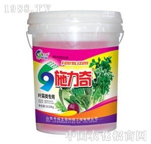 ��ԣ����-ʩ�����~�����