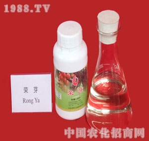 ֲ�����L�{��(ji��)��-�sѿ