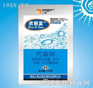 �ϸ�֮·-�����{��ɭ�\