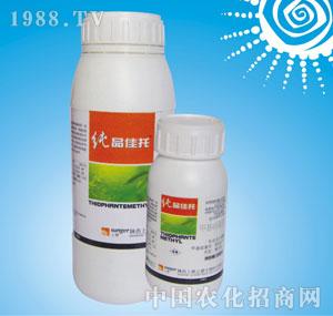 �ϸ�֮·-50%��Ʒ����