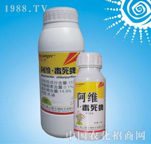 �ϸ�֮·-���S������