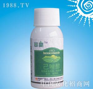 �ϸ�֮·-���A��5%���򴼑Ҹ�����