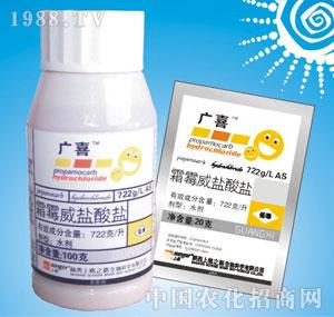 �ϸ�֮·-�Vϲ��722��/��˪ù���}���}��