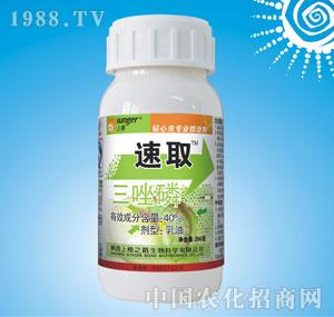 �ϸ�֮·-������40%���������ͣ�